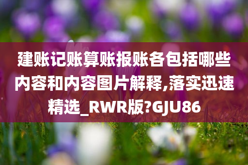 建账记账算账报账各包括哪些内容和内容图片解释,落实迅速精选_RWR版?GJU86