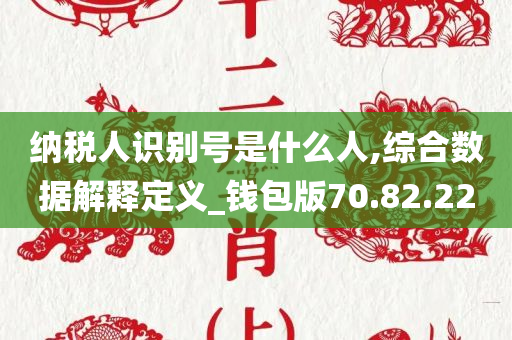 纳税人识别号是什么人,综合数据解释定义_钱包版70.82.22