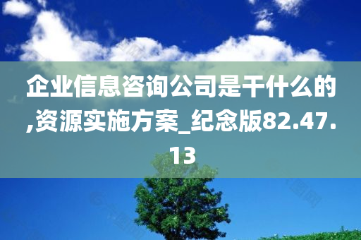 企业信息咨询公司是干什么的,资源实施方案_纪念版82.47.13