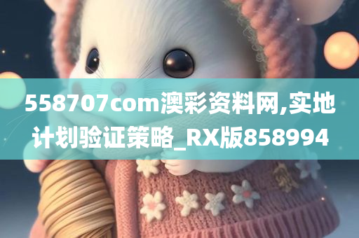 558707com澳彩资料网,实地计划验证策略_RX版858994