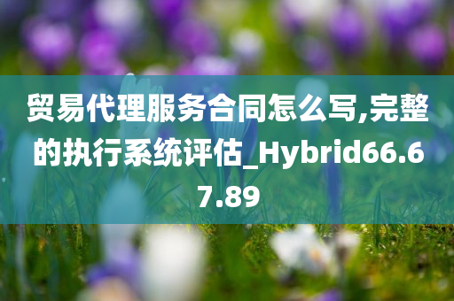 贸易代理服务合同怎么写,完整的执行系统评估_Hybrid66.67.89