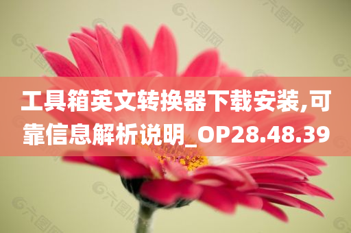 工具箱英文转换器下载安装,可靠信息解析说明_OP28.48.39