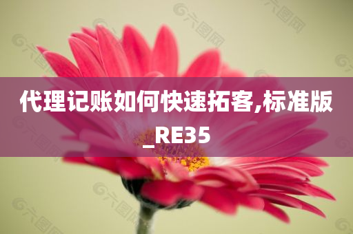 代理记账如何快速拓客,标准版_RE35