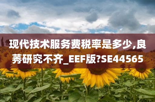 现代技术服务费税率是多少,良莠研究不齐_EEF版?SE44565