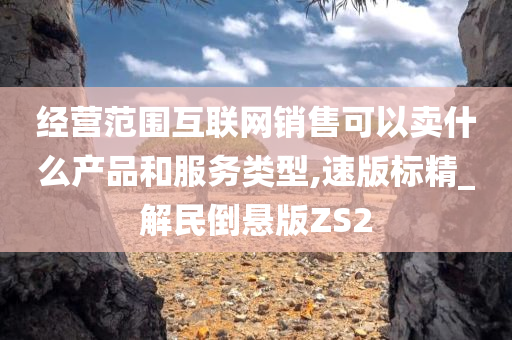 经营范围互联网销售可以卖什么产品和服务类型,速版标精_解民倒悬版ZS2