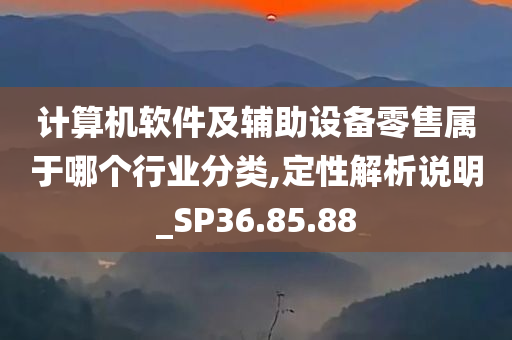 计算机软件及辅助设备零售属于哪个行业分类,定性解析说明_SP36.85.88