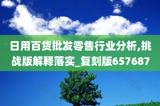 日用百货批发零售行业分析,挑战版解释落实_复刻版657687