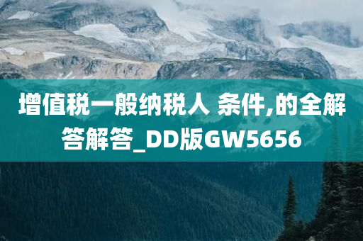 增值税一般纳税人 条件,的全解答解答_DD版GW5656