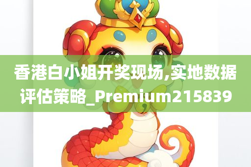 香港白小姐开奖现场,实地数据评估策略_Premium215839