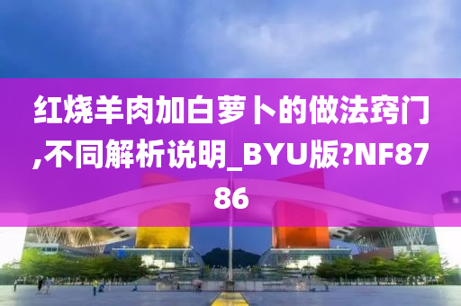 红烧羊肉加白萝卜的做法窍门,不同解析说明_BYU版?NF8786