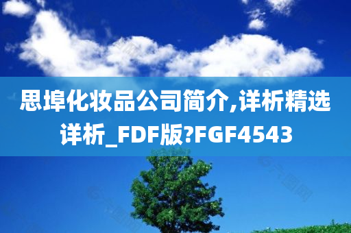 思埠化妆品公司简介,详析精选详析_FDF版?FGF4543