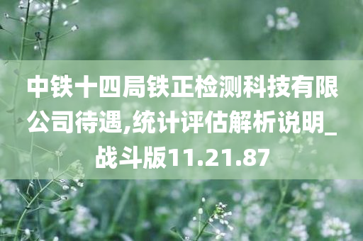 中铁十四局铁正检测科技有限公司待遇,统计评估解析说明_战斗版11.21.87