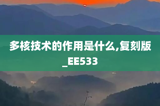 多核技术的作用是什么,复刻版_EE533