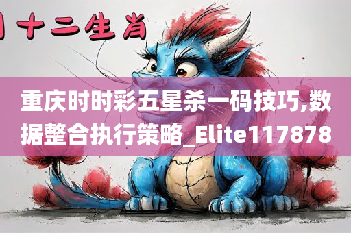 重庆时时彩五星杀一码技巧,数据整合执行策略_Elite117878