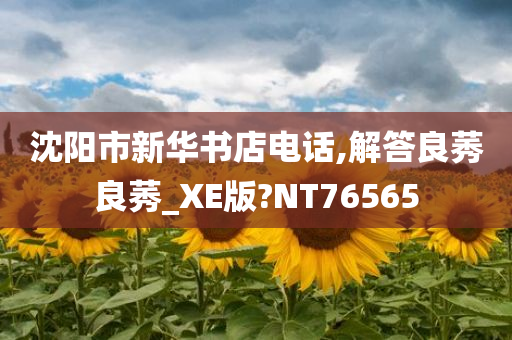 沈阳市新华书店电话,解答良莠良莠_XE版?NT76565