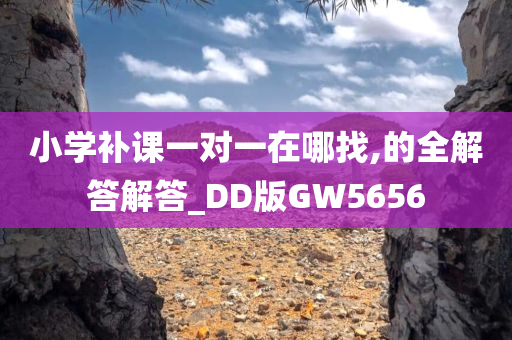 小学补课一对一在哪找,的全解答解答_DD版GW5656