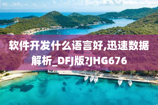 软件开发什么语言好,迅速数据解析_DFJ版?JHG676