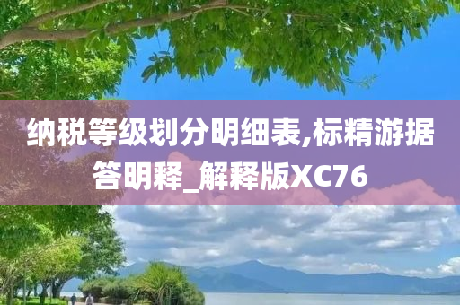 纳税等级划分明细表,标精游据答明释_解释版XC76