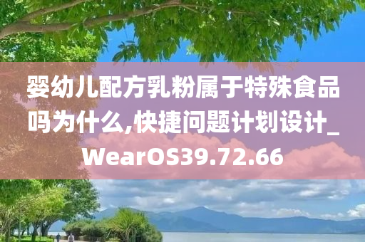 婴幼儿配方乳粉属于特殊食品吗为什么,快捷问题计划设计_WearOS39.72.66