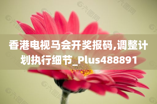 香港电视马会开奖报码,调整计划执行细节_Plus488891