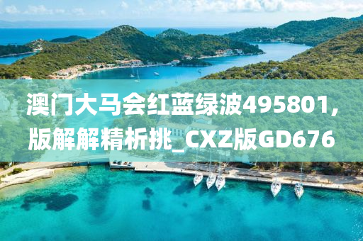 澳门大马会红蓝绿波495801,版解解精析挑_CXZ版GD676