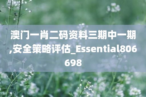 澳门一肖二码资料三期中一期,安全策略评估_Essential806698