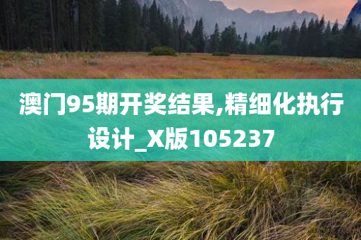 澳门95期开奖结果,精细化执行设计_X版105237