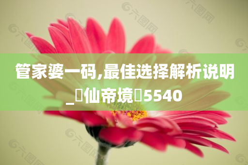 管家婆一码,最佳选择解析说明_‌仙帝境‌5540