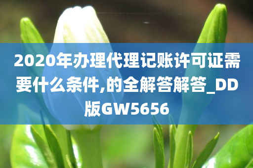 2020年办理代理记账许可证需要什么条件,的全解答解答_DD版GW5656