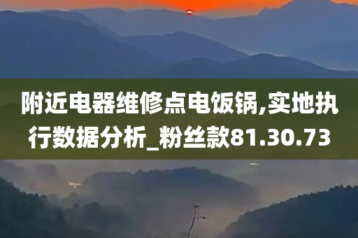 附近电器维修点电饭锅,实地执行数据分析_粉丝款81.30.73