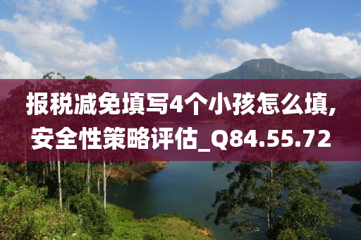 报税减免填写4个小孩怎么填,安全性策略评估_Q84.55.72