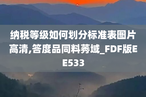 纳税等级如何划分标准表图片高清,答度品同料莠域_FDF版EE533