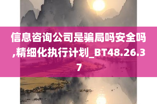 信息咨询公司是骗局吗安全吗,精细化执行计划_BT48.26.37