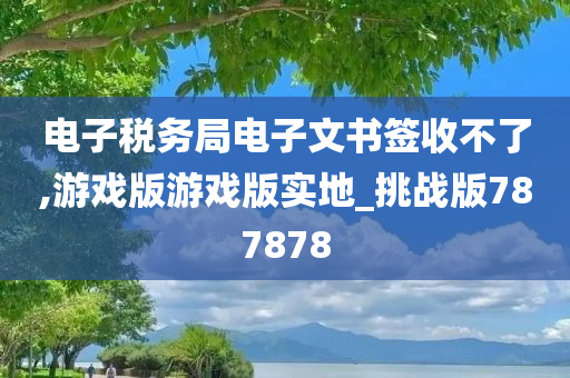 电子税务局电子文书签收不了,游戏版游戏版实地_挑战版787878