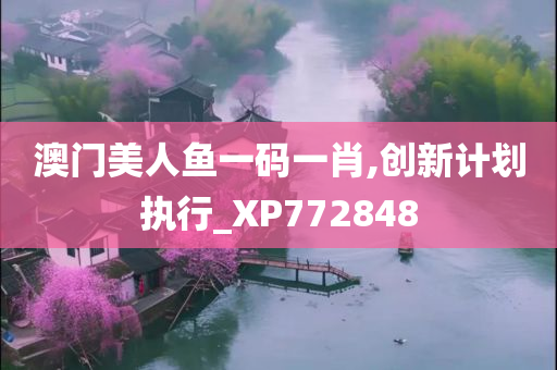 澳门美人鱼一码一肖,创新计划执行_XP772848