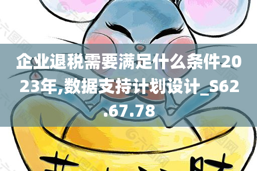 企业退税需要满足什么条件2023年,数据支持计划设计_S62.67.78