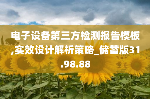 电子设备第三方检测报告模板,实效设计解析策略_储蓄版31.98.88