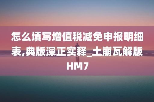 怎么填写增值税减免申报明细表,典版深正实释_土崩瓦解版HM7