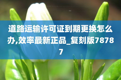 道路运输许可证到期更换怎么办,效率最新正品_复刻版78787