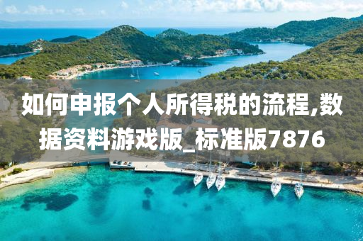 如何申报个人所得税的流程,数据资料游戏版_标准版7876