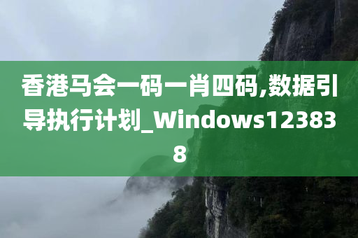 香港马会一码一肖四码,数据引导执行计划_Windows123838