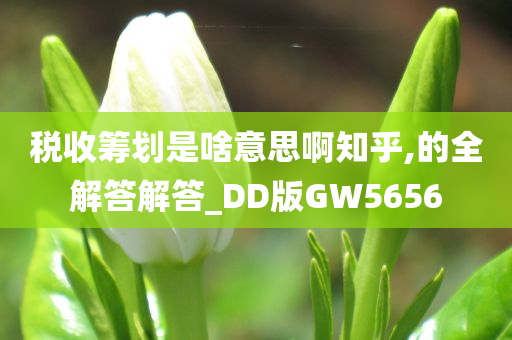 税收筹划是啥意思啊知乎,的全解答解答_DD版GW5656