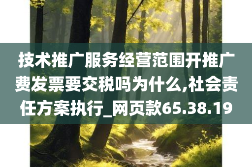 技术推广服务经营范围开推广费发票要交税吗为什么,社会责任方案执行_网页款65.38.19