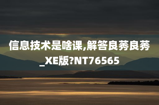 信息技术是啥课,解答良莠良莠_XE版?NT76565