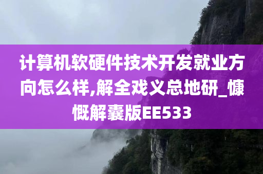 计算机软硬件技术开发就业方向怎么样,解全戏义总地研_慷慨解囊版EE533