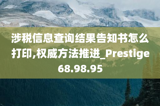 涉税信息查询结果告知书怎么打印,权威方法推进_Prestige68.98.95