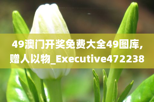 49澳门开奖免费大全49图库,赠人以物_Executive472238