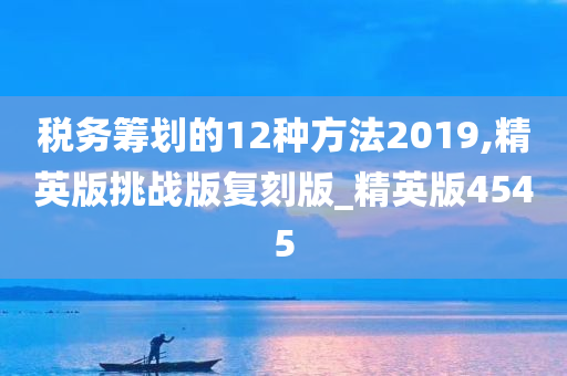 税务筹划的12种方法2019,精英版挑战版复刻版_精英版4545