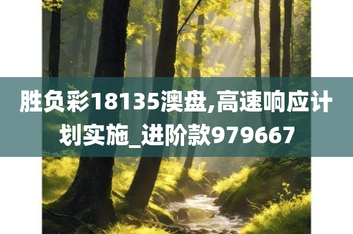 胜负彩18135澳盘,高速响应计划实施_进阶款979667