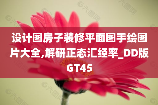 设计图房子装修平面图手绘图片大全,解研正态汇经率_DD版GT45